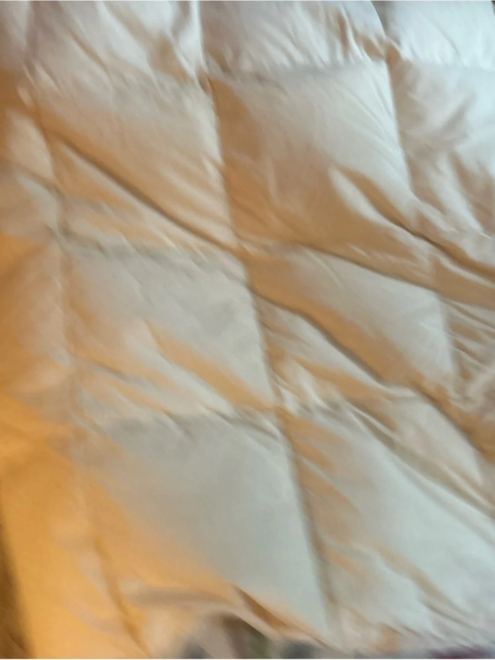 Twin size 80x 68  Cotton Goose Down Filled Comforter Box Stitch fluffy beige